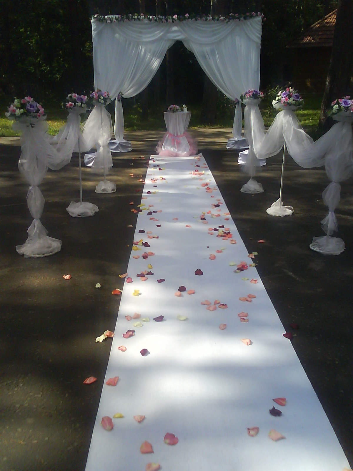 Фото Лесные дали