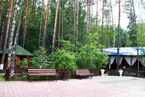 отель Грин Парк
