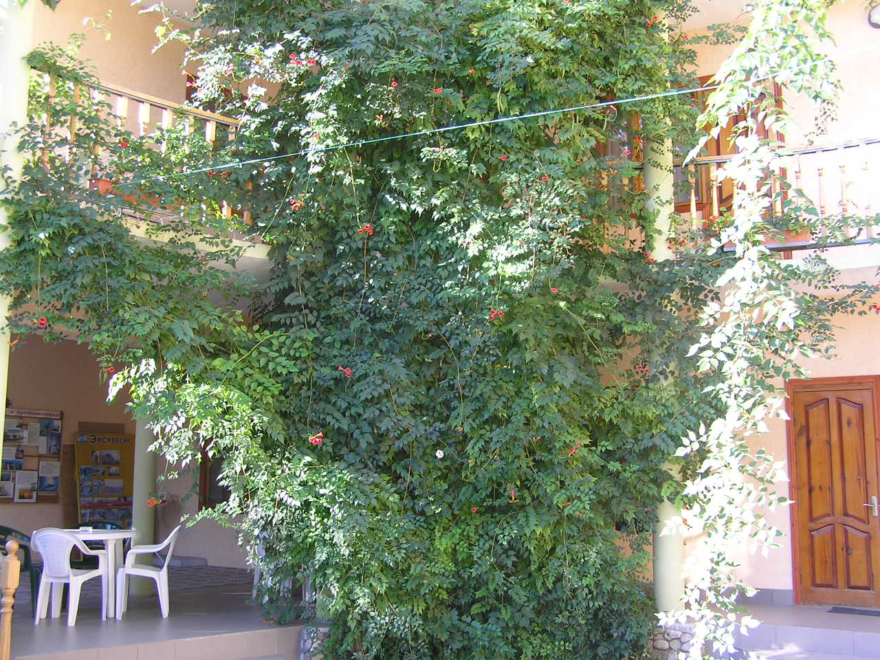 Фото Итальянский Дворик