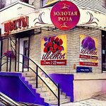 Zolotaya roza (Novomoskovsk, Trudovye Rezervy Street, 73) ، محل زهور