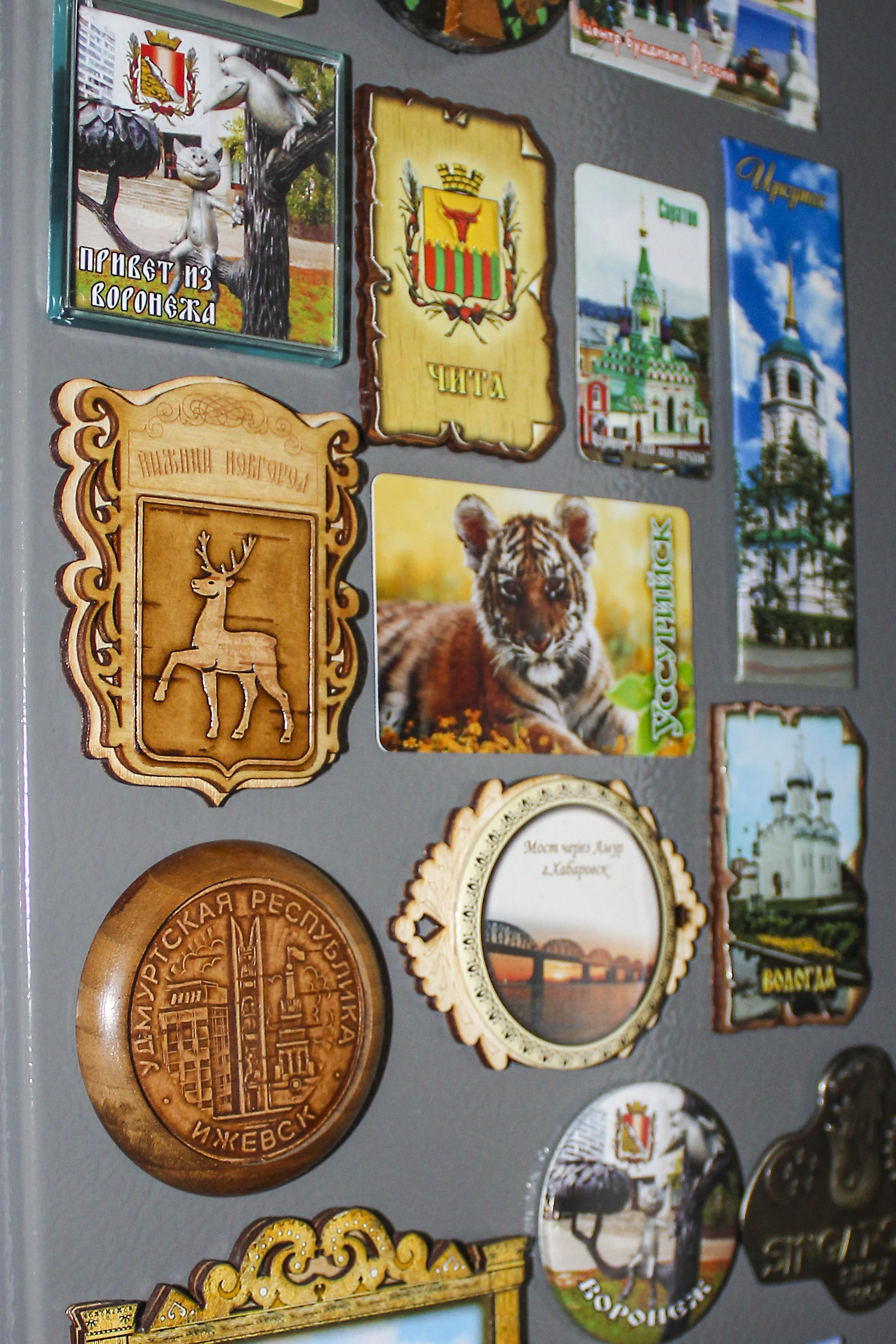 Фото Кукуруза