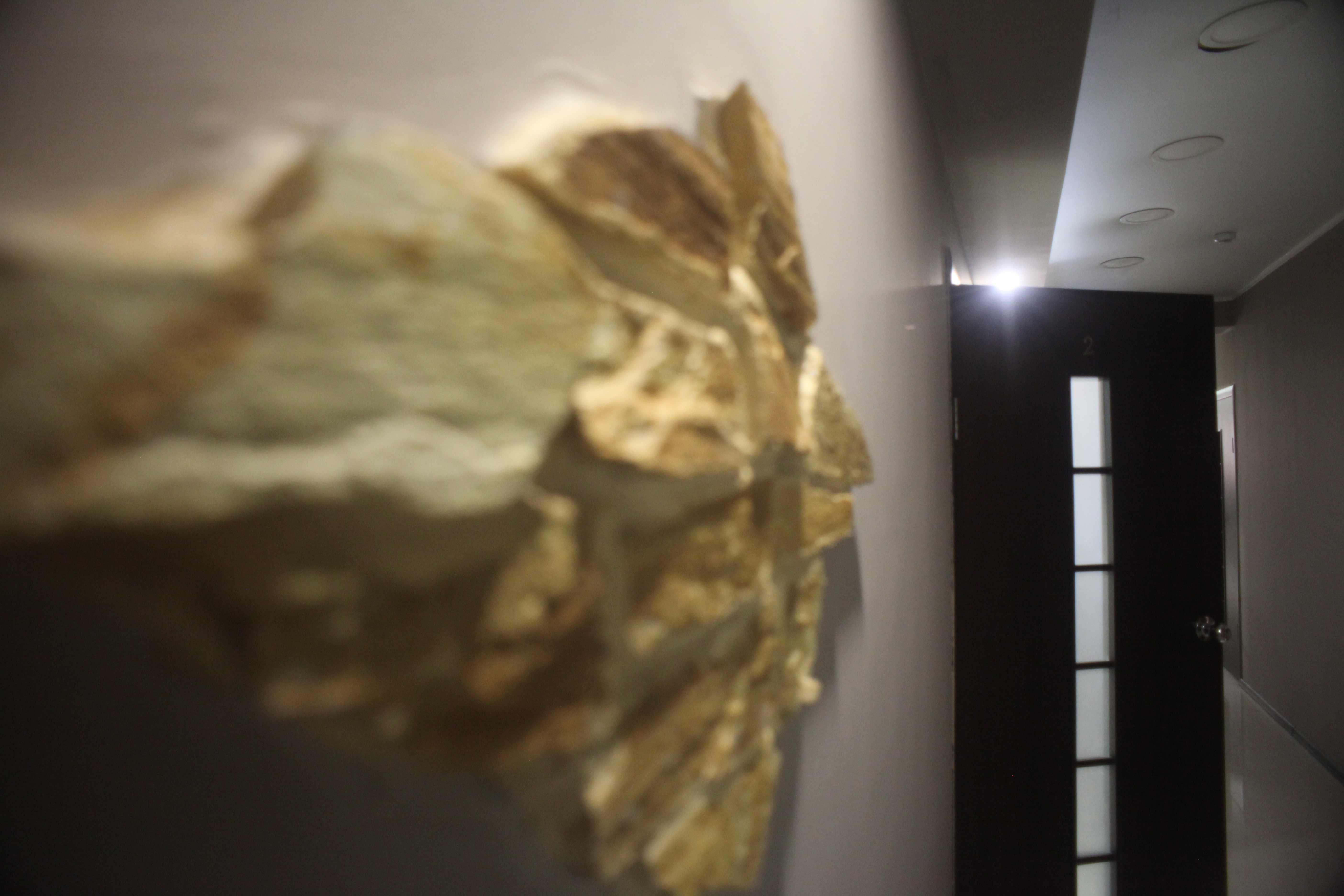 Фото Бархат