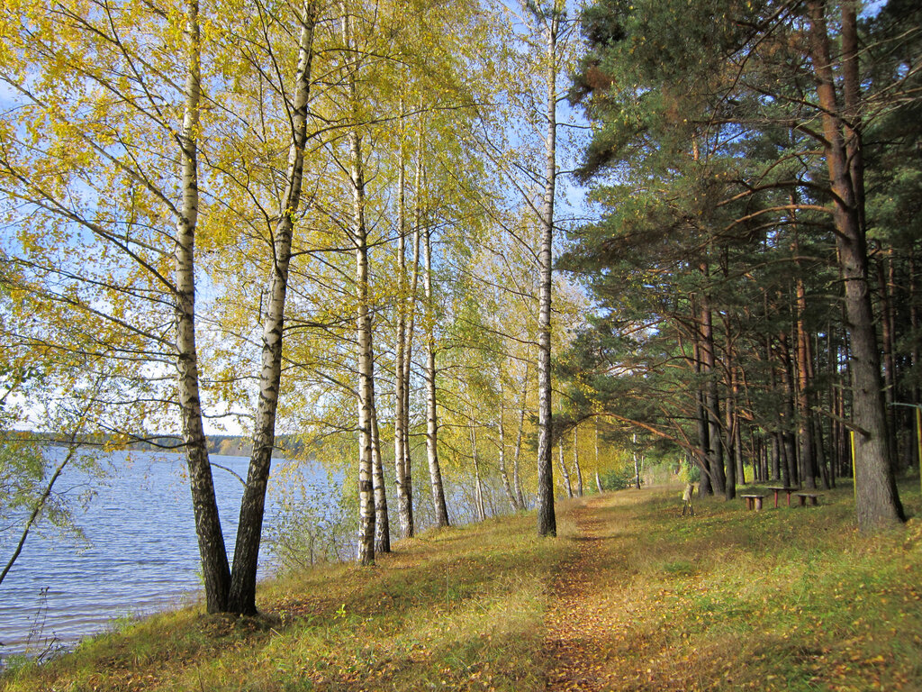 Лисицкий бор тверь карта