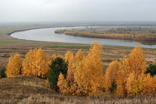 Дом в аренду НиКиТа в Папушеве