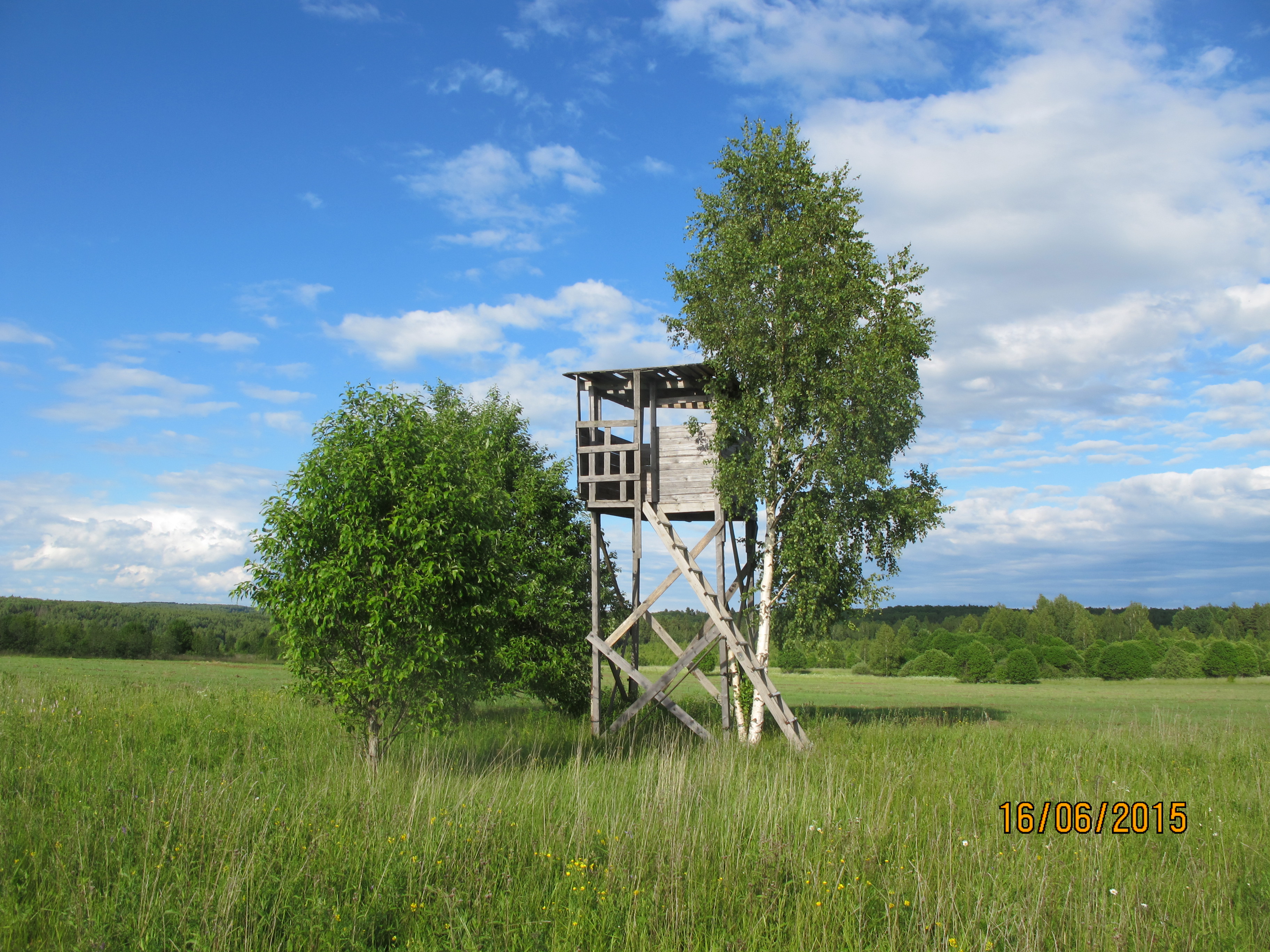Фото Кузьмадино