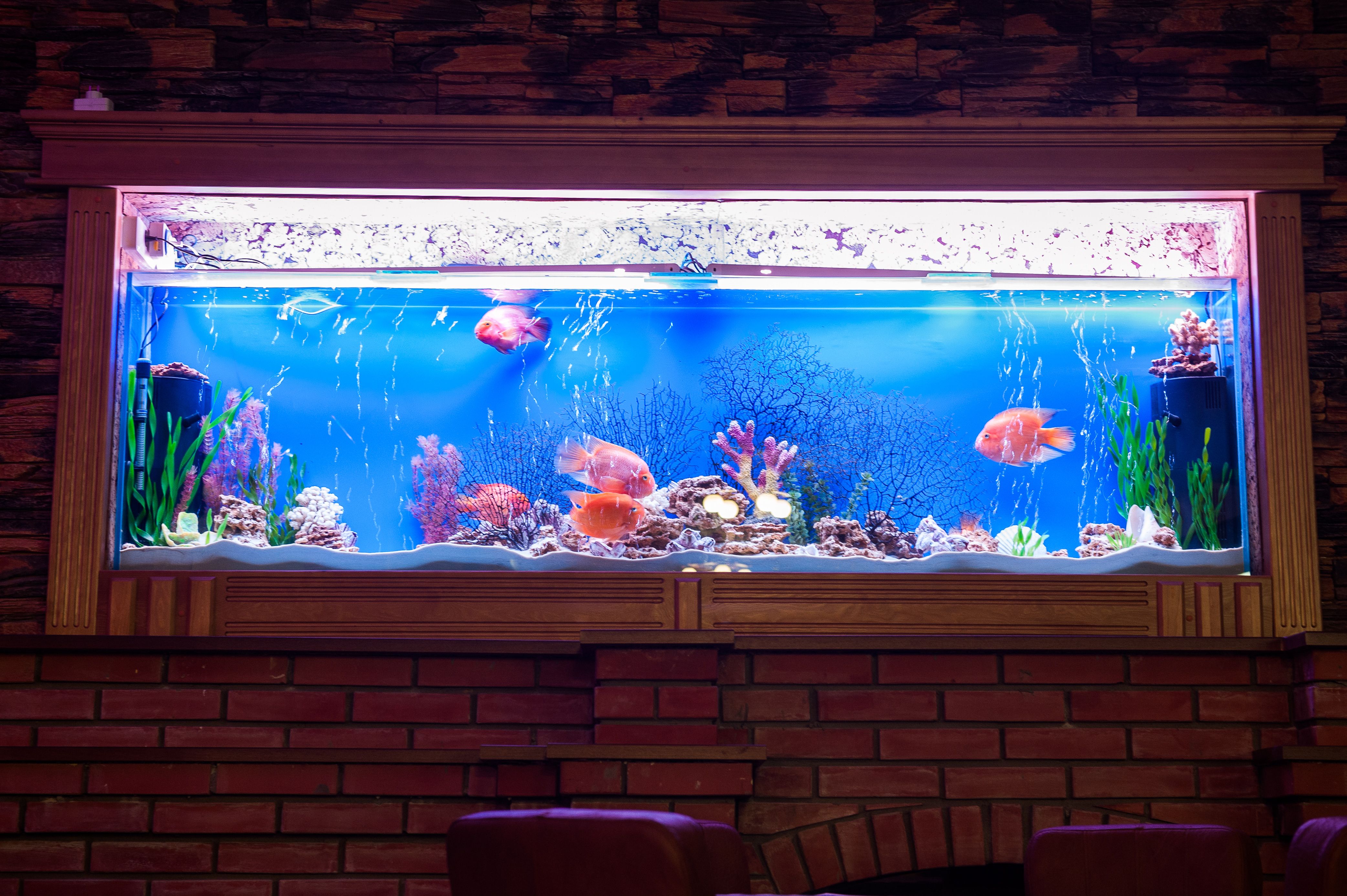 Фото Шансон