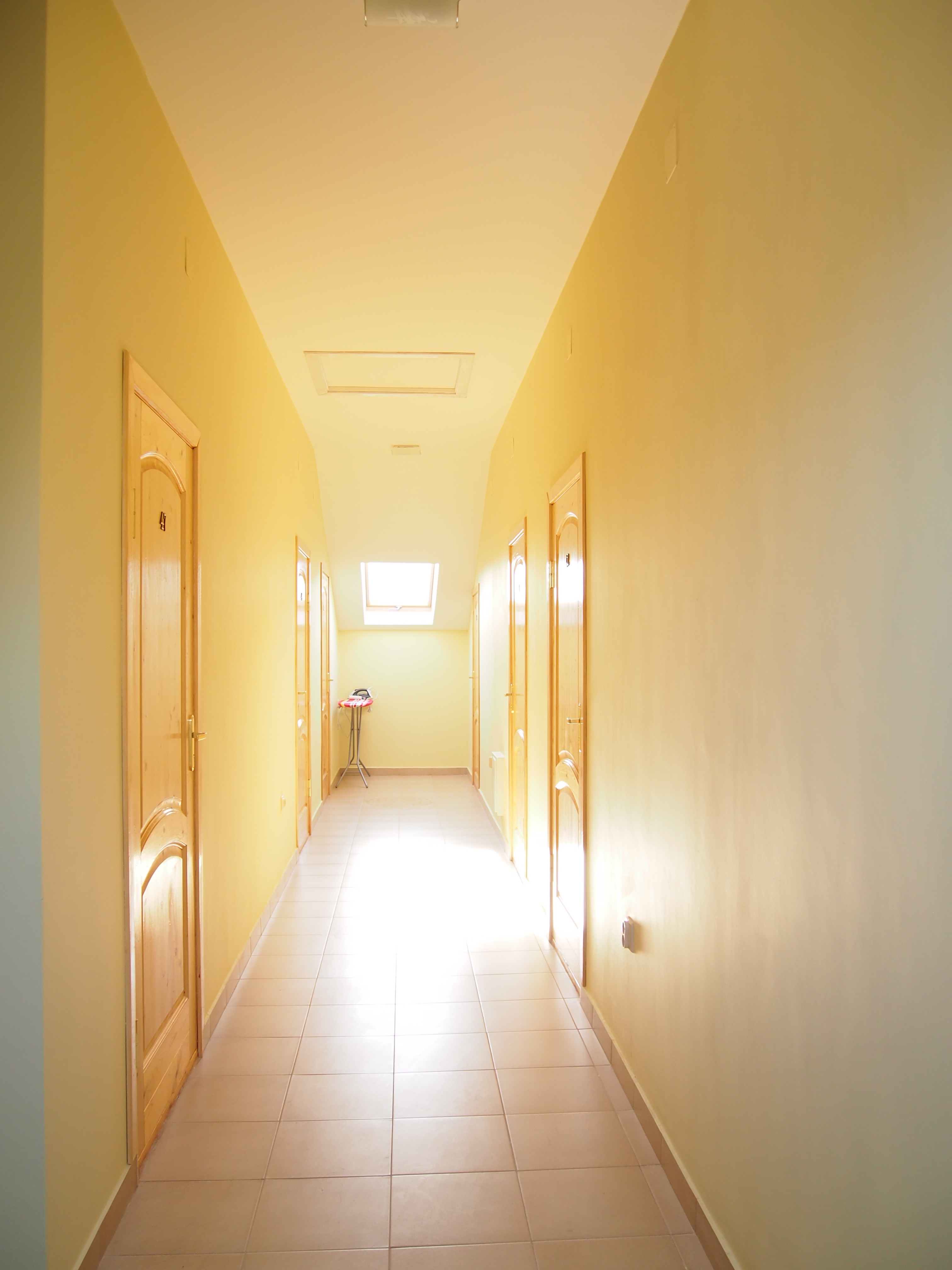 Фото Орхидея