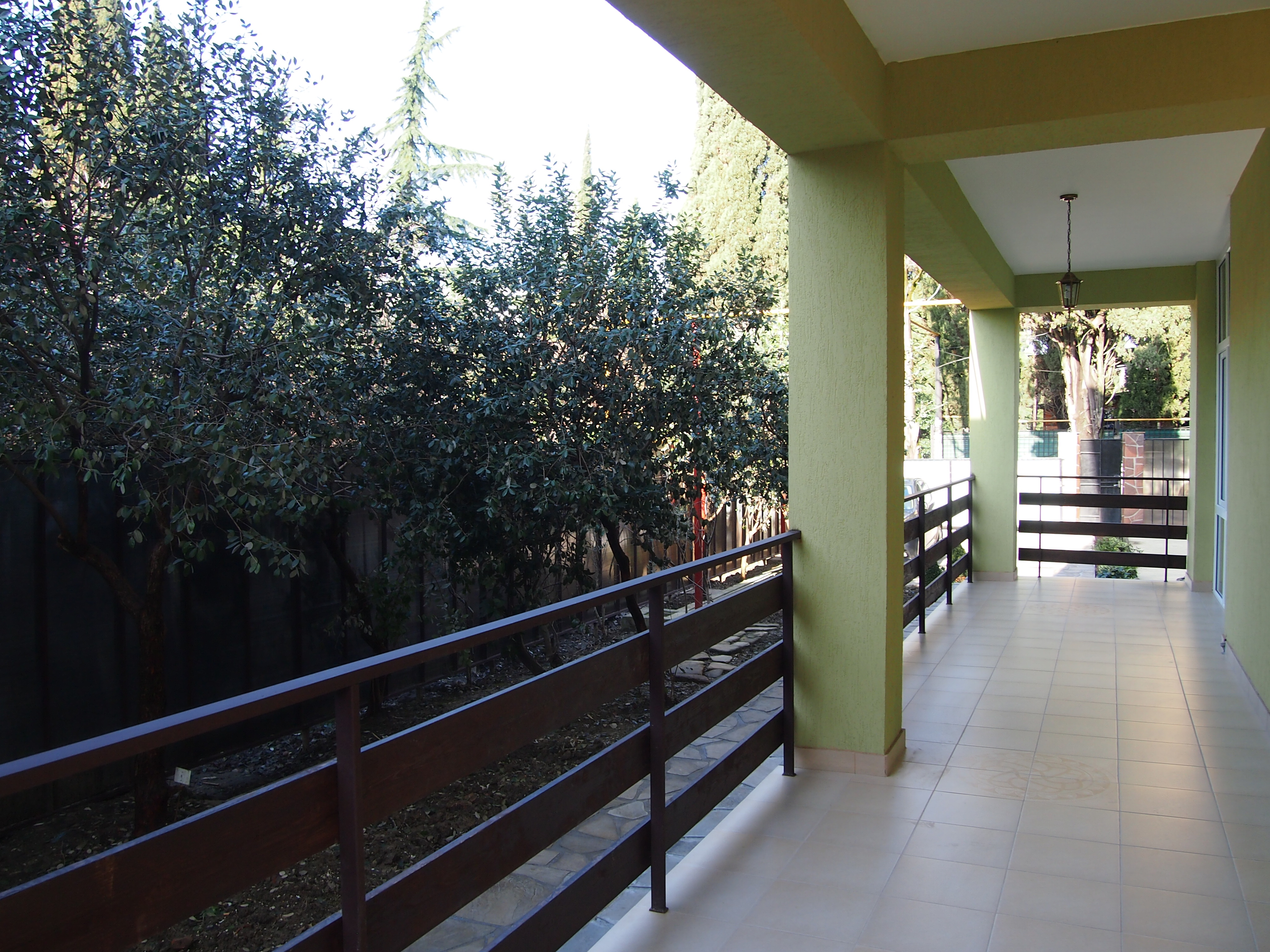 Фото Орхидея