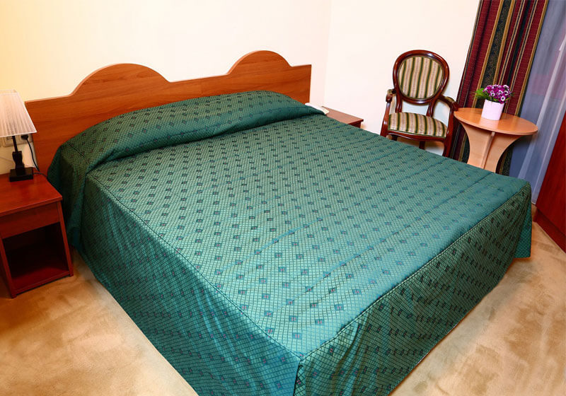 Фото Ani Central Inn