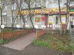 585 Zolotoy (Murmansk, Generala Scherbakova Street, 16), jewelry store