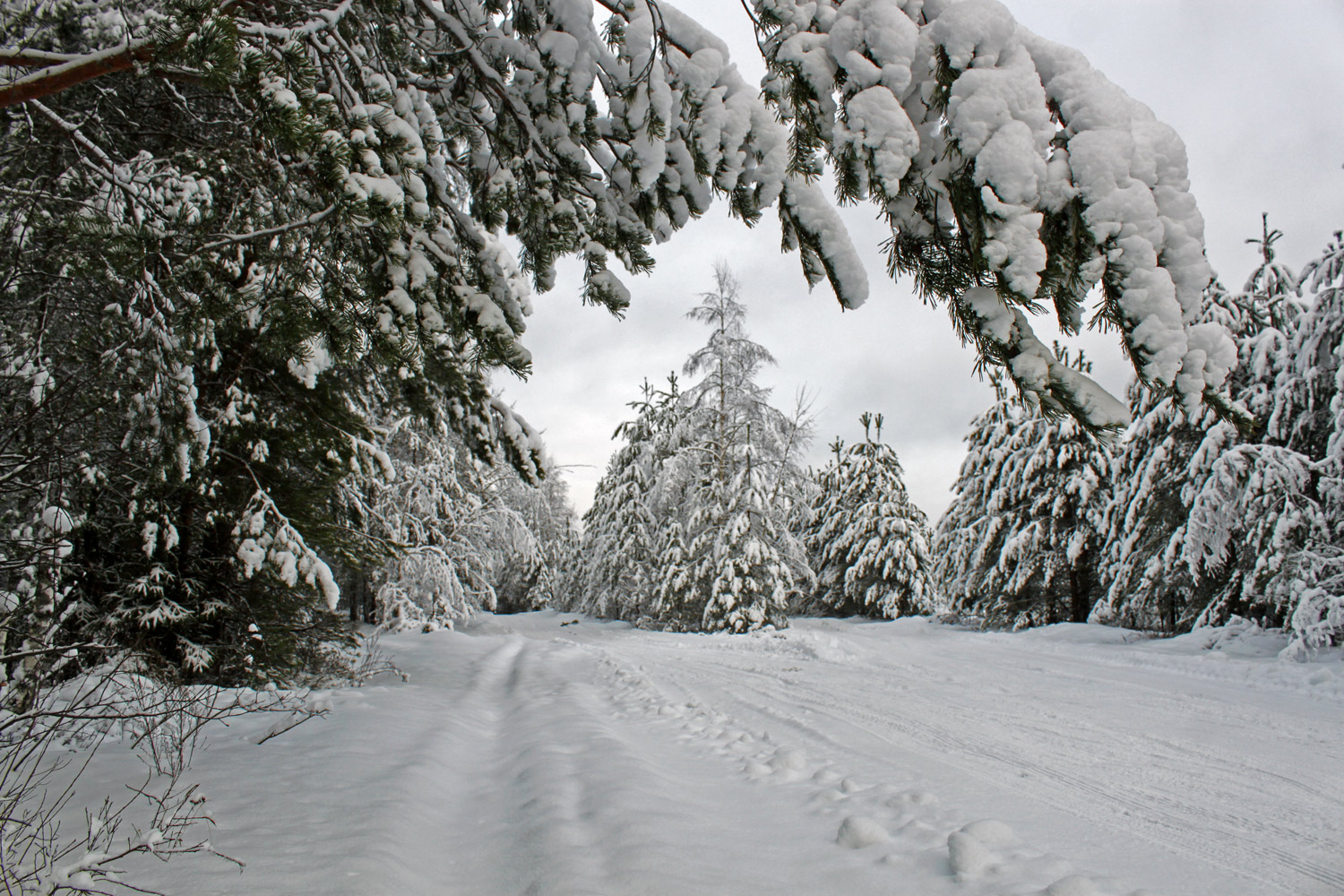 Фото Киногородок