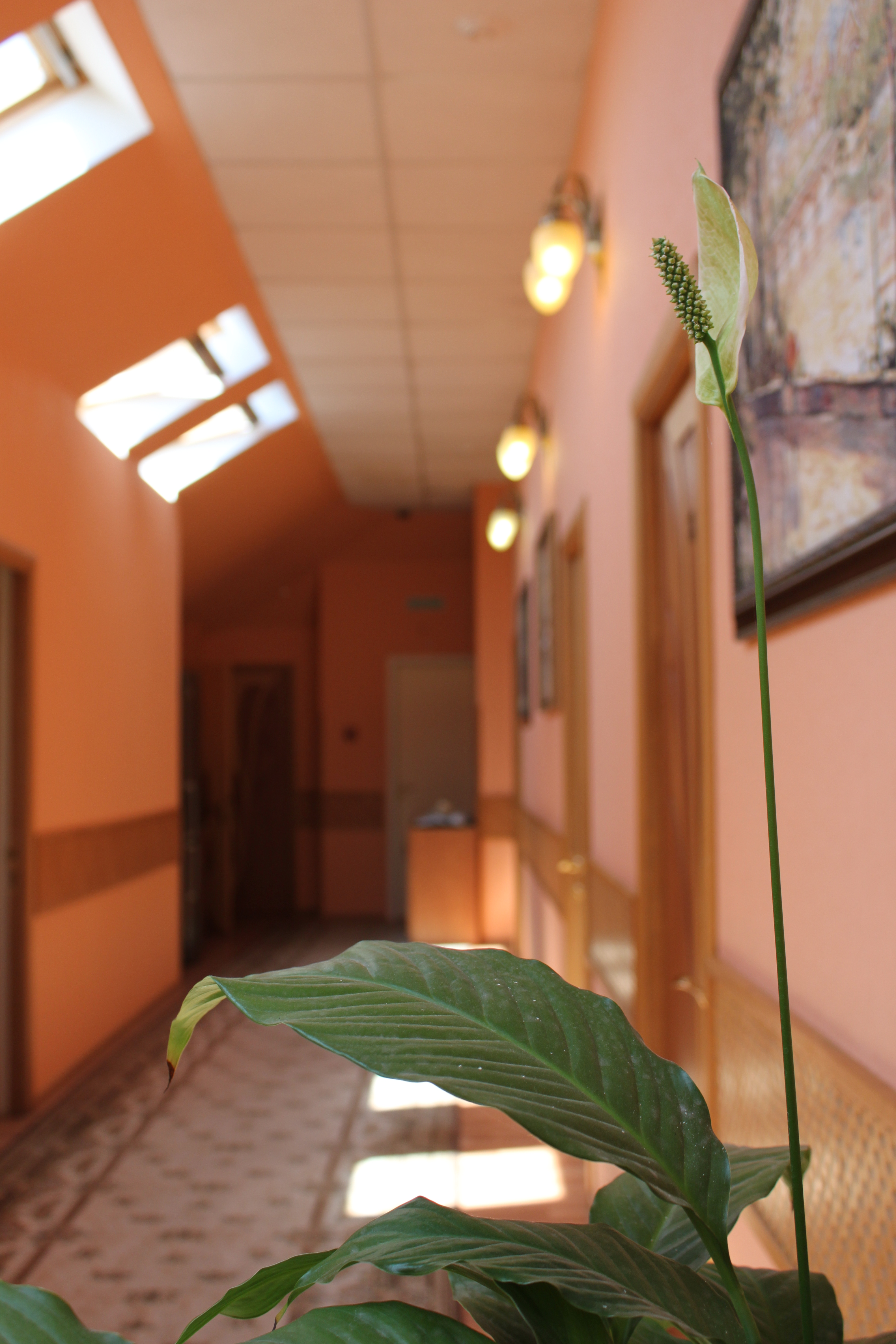 Фото Семь прудов