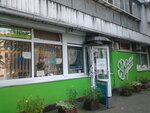 Salon krasoty Lady-R (Raisy Okipnoi Street, 9), beauty salon
