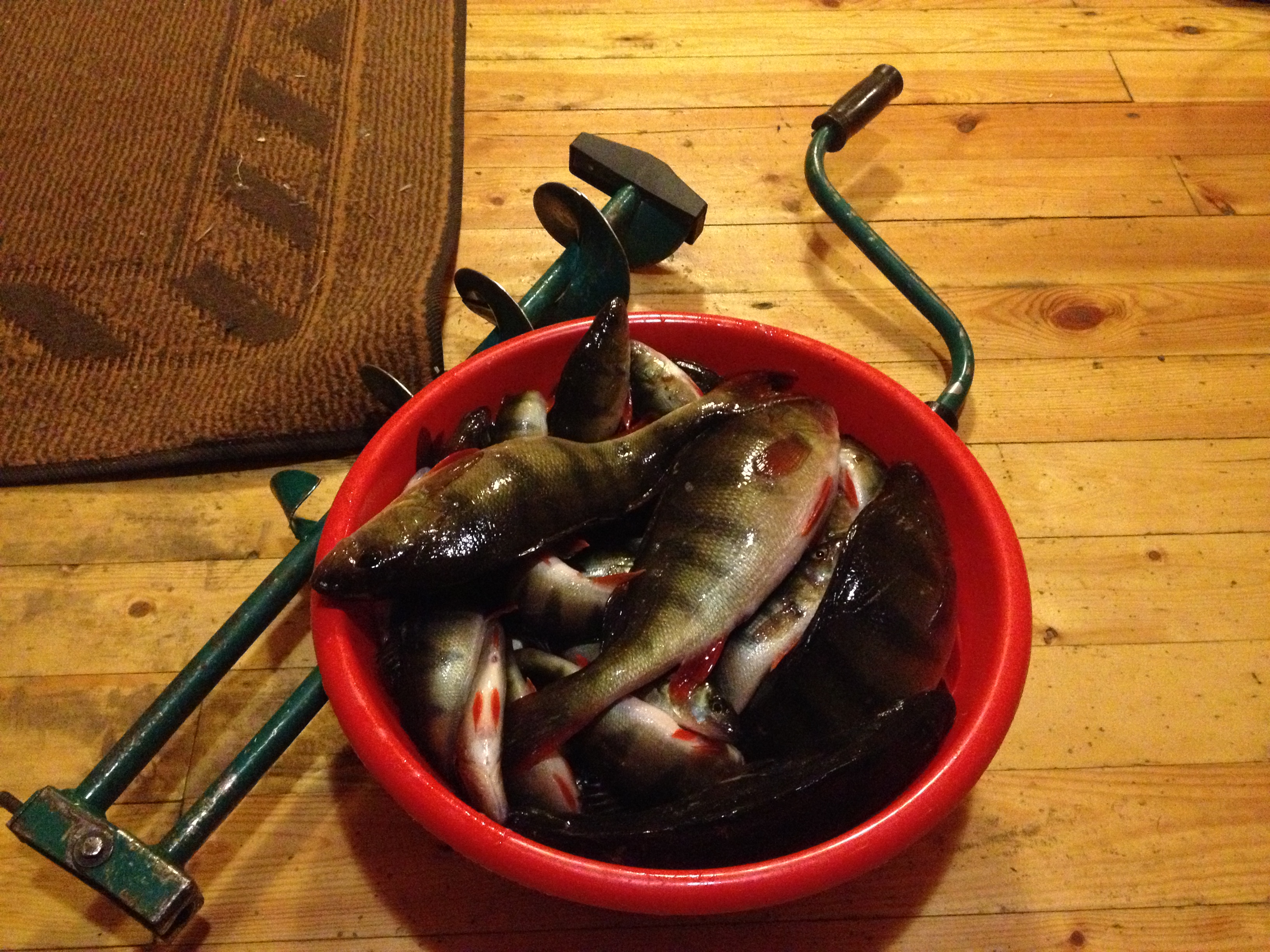 Фото Турбаза Сегозеро