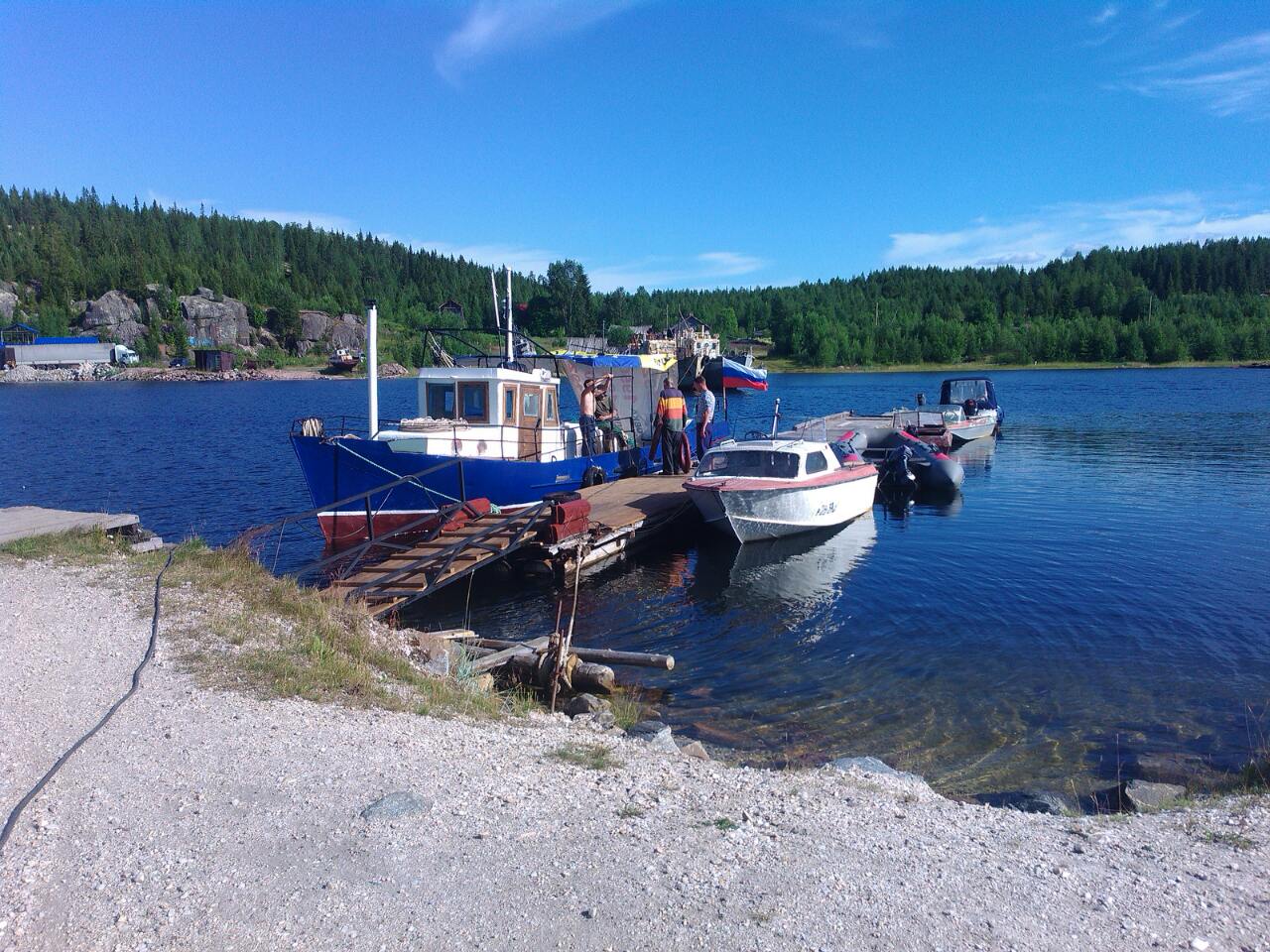 Фото Нереис