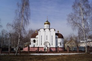 Церковь Николая Чудотворца (ул. Дружбы, 3/1, д. Николаевка), православный храм в Республике Башкортостан