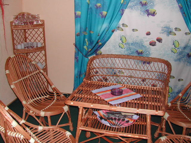 Фото Черепаха