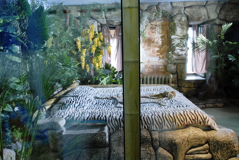 Фото Замок в долине