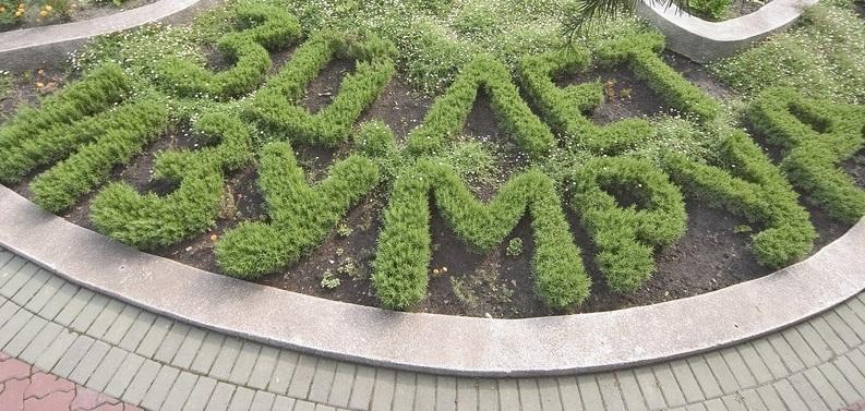 Фото Изумруд