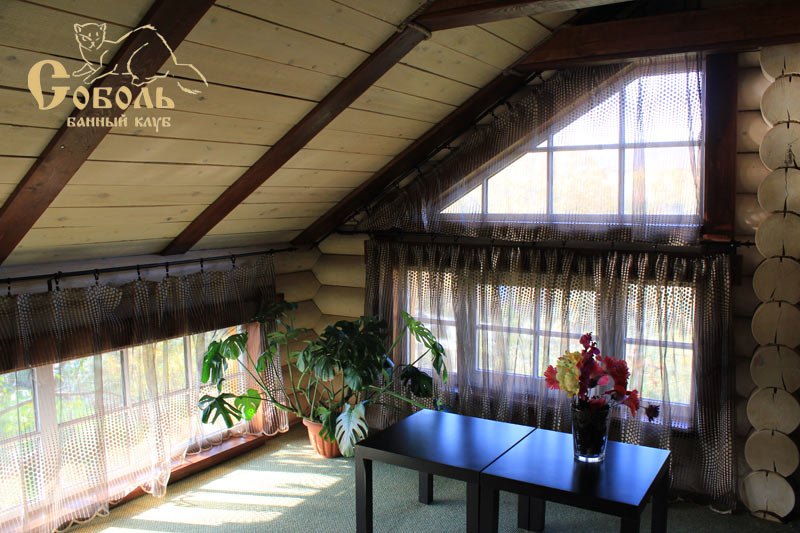 Фото Соболь