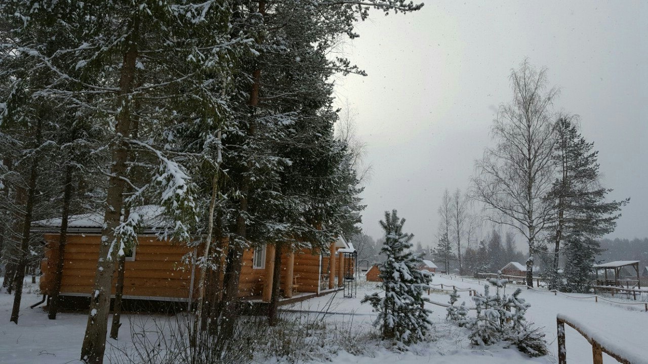 Фото Пикник