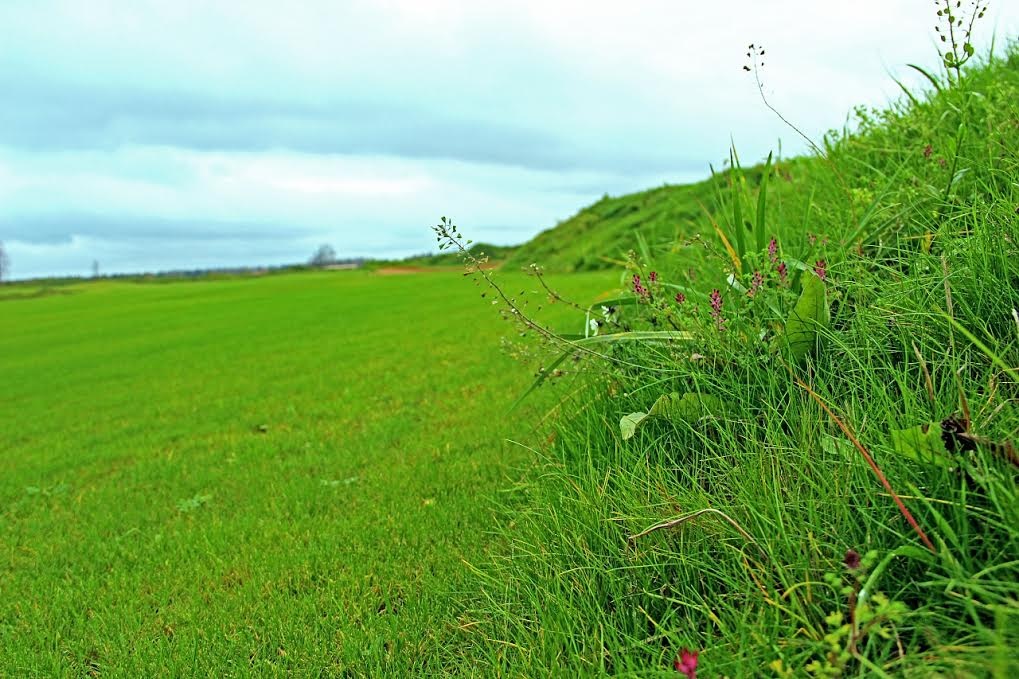 Фото Sport Point