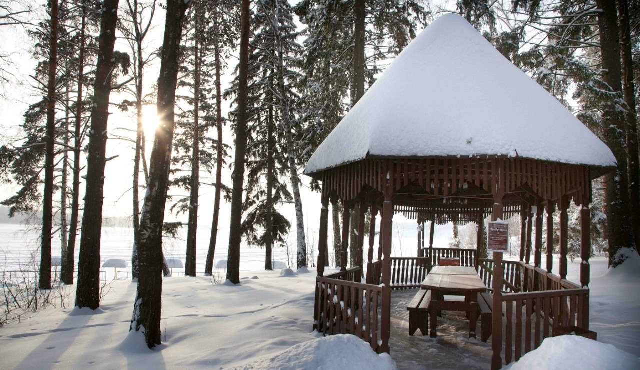 Фото Яхонты Истра