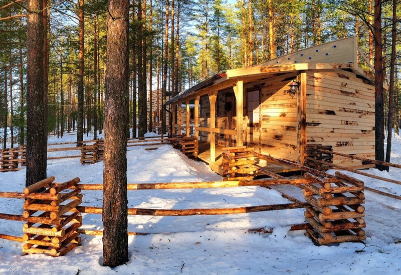 Фото Шишки на Лампушке