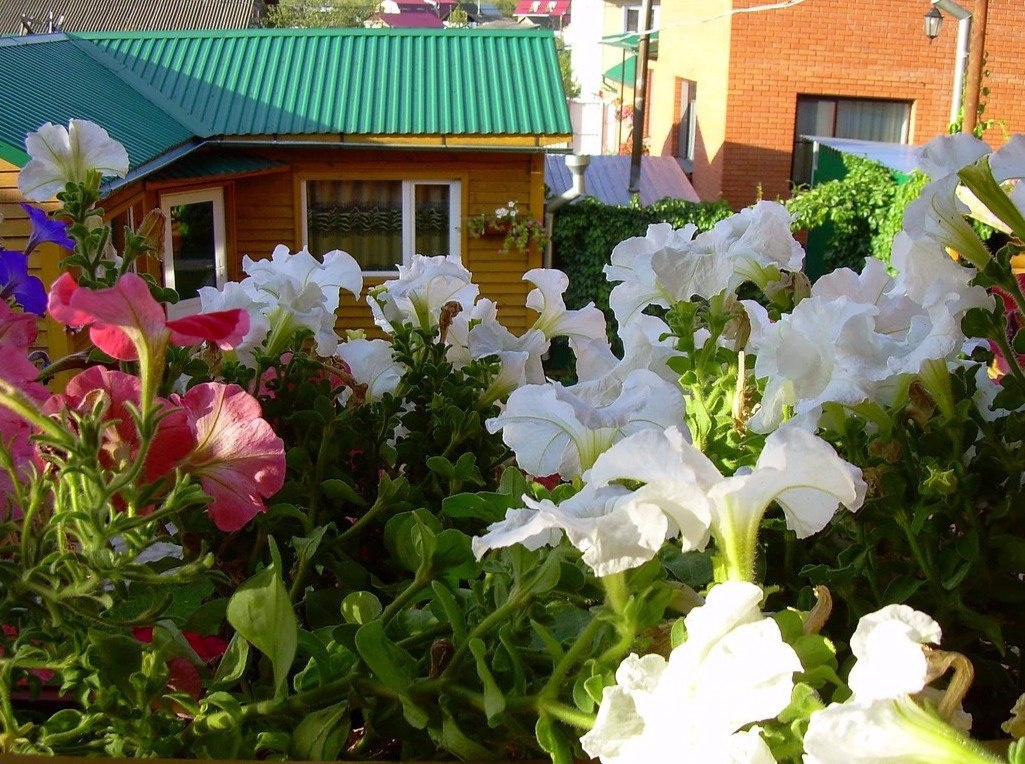 Фото Ивановский