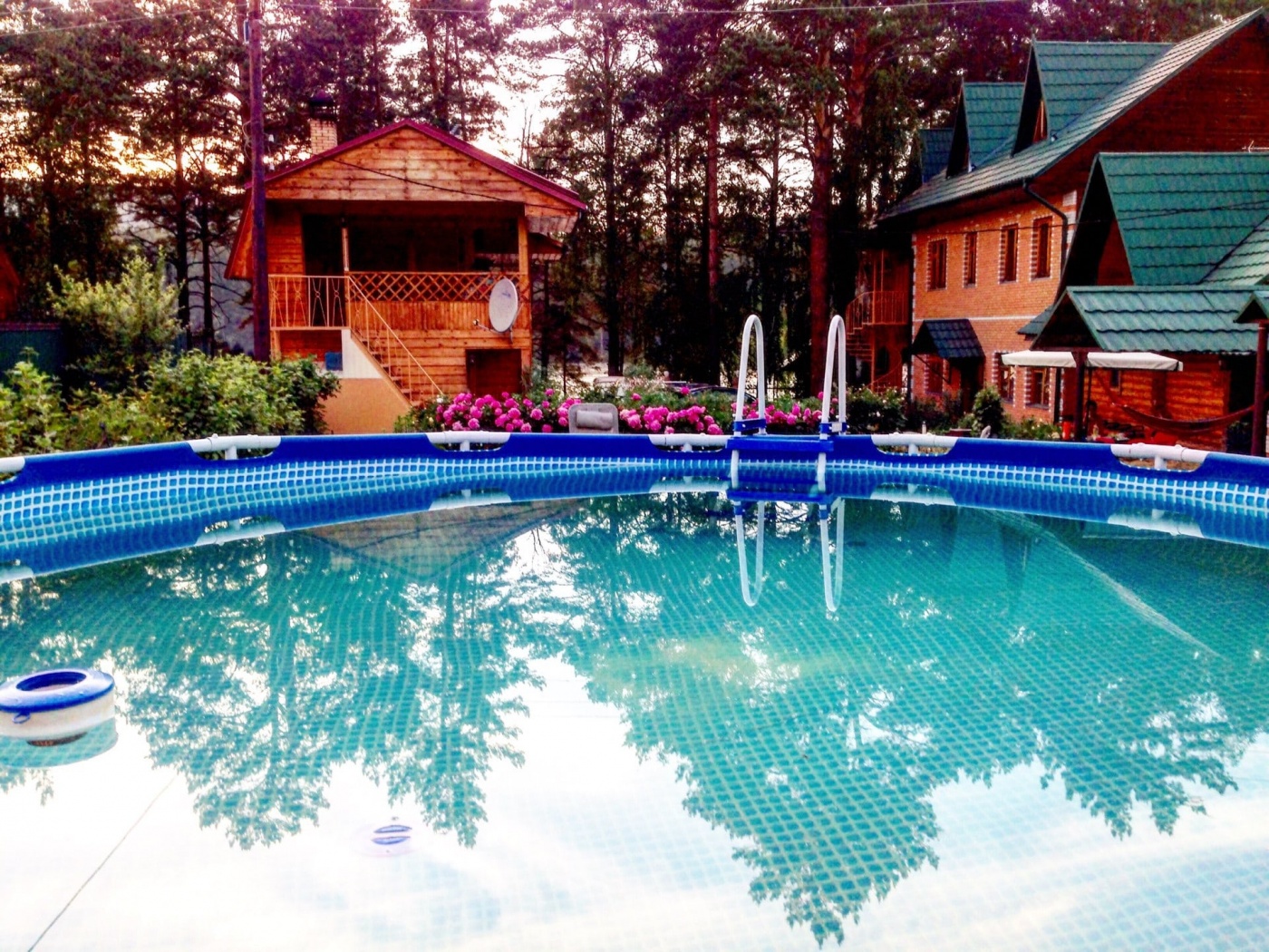 Фото Авелия