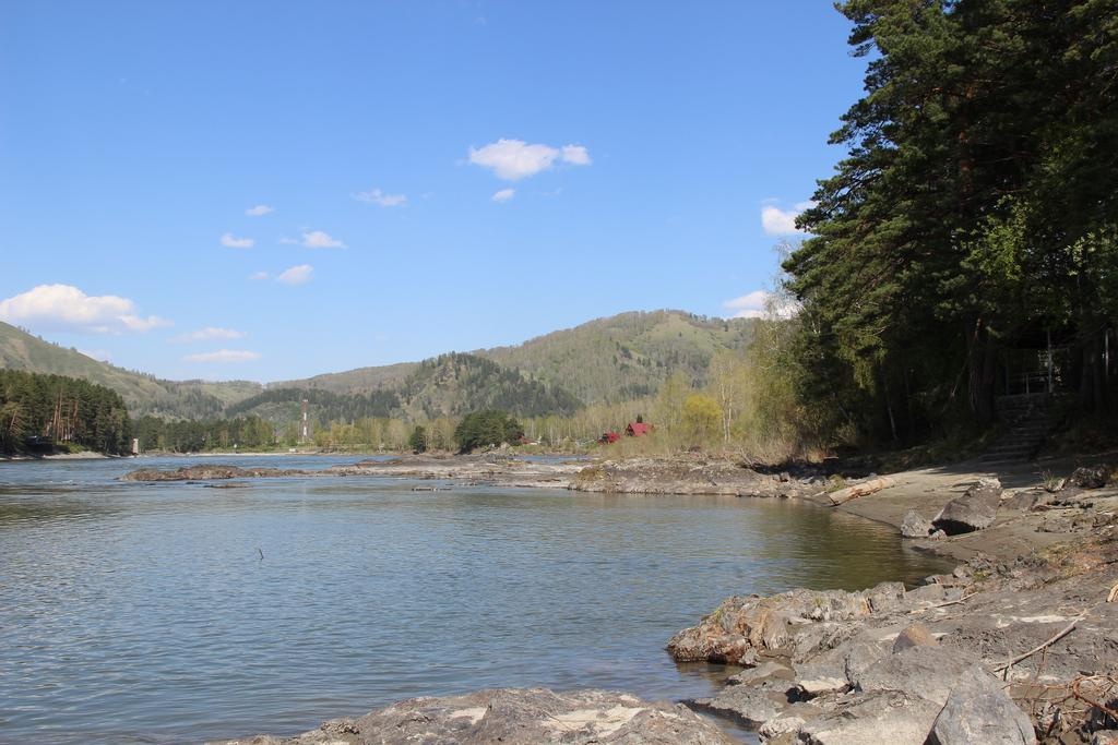 Фото Авелия