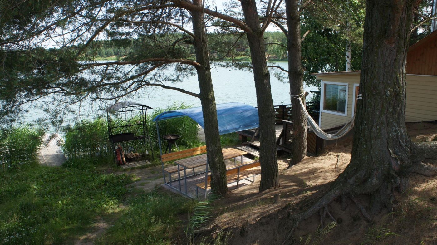 Фото Кукушка