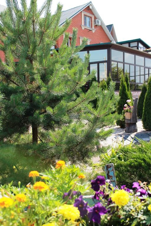 Фото Колесо