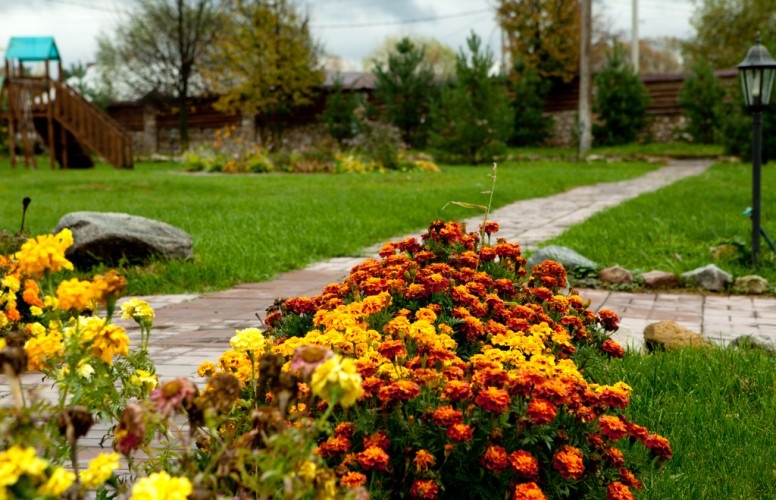 Фото Лихвинские воды