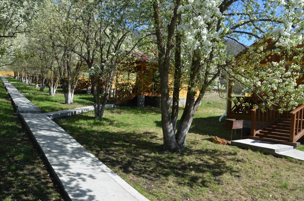 Фото Горный источник