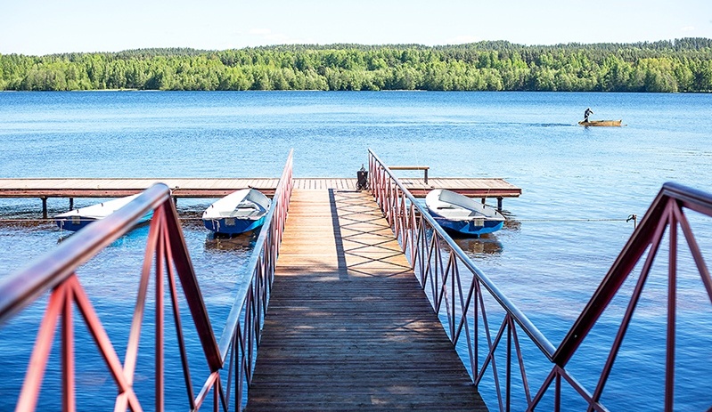 Фото Аврора