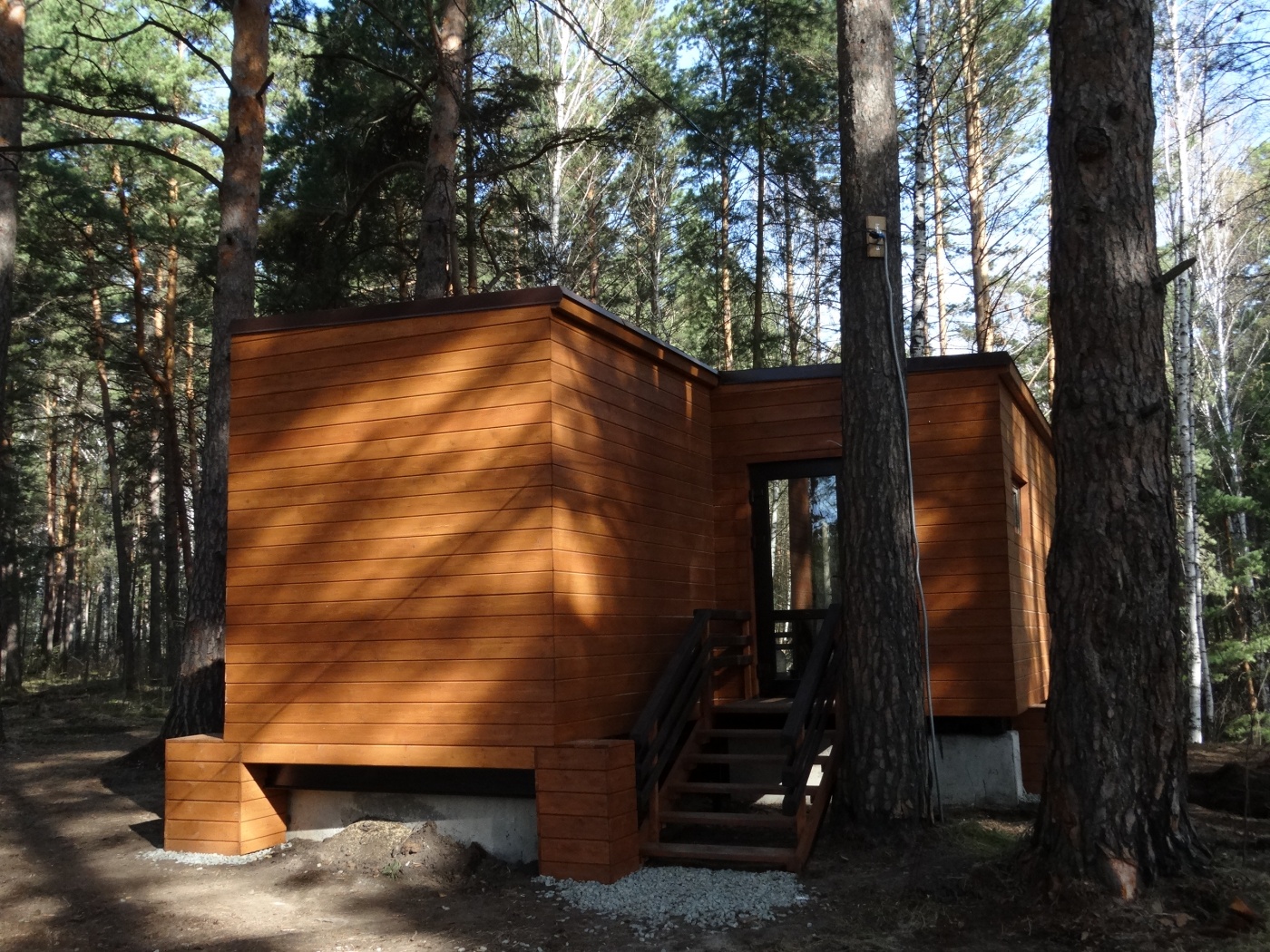 Фото Сибиряк