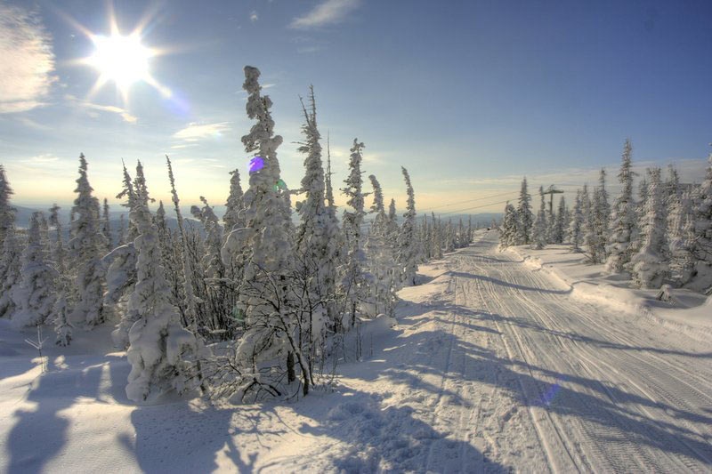 Фото Зима-лето