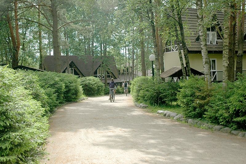 Фото Снежный