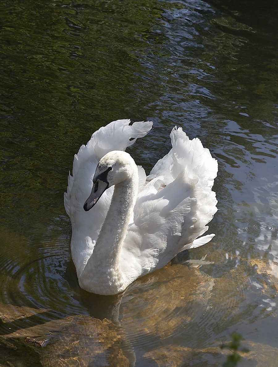 Фото Капитан Клаб