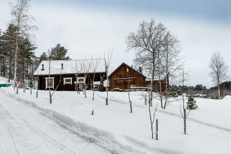 Фото Ламберг