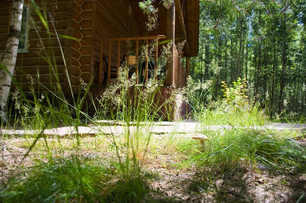 Фото Селигерское Заплавье