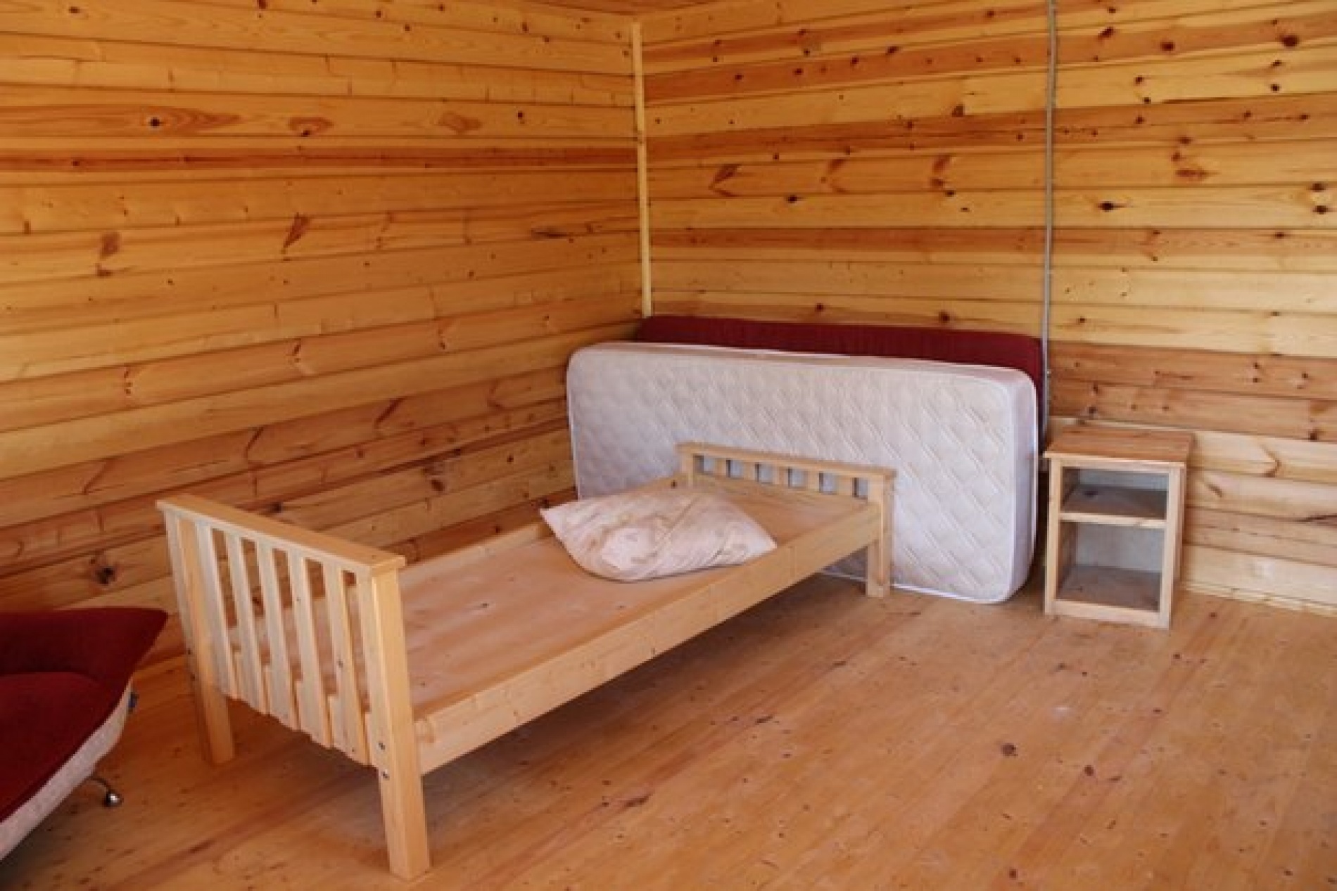 Фото Светлячок