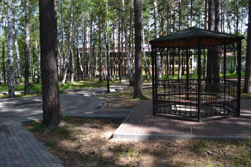 Фото Лесной