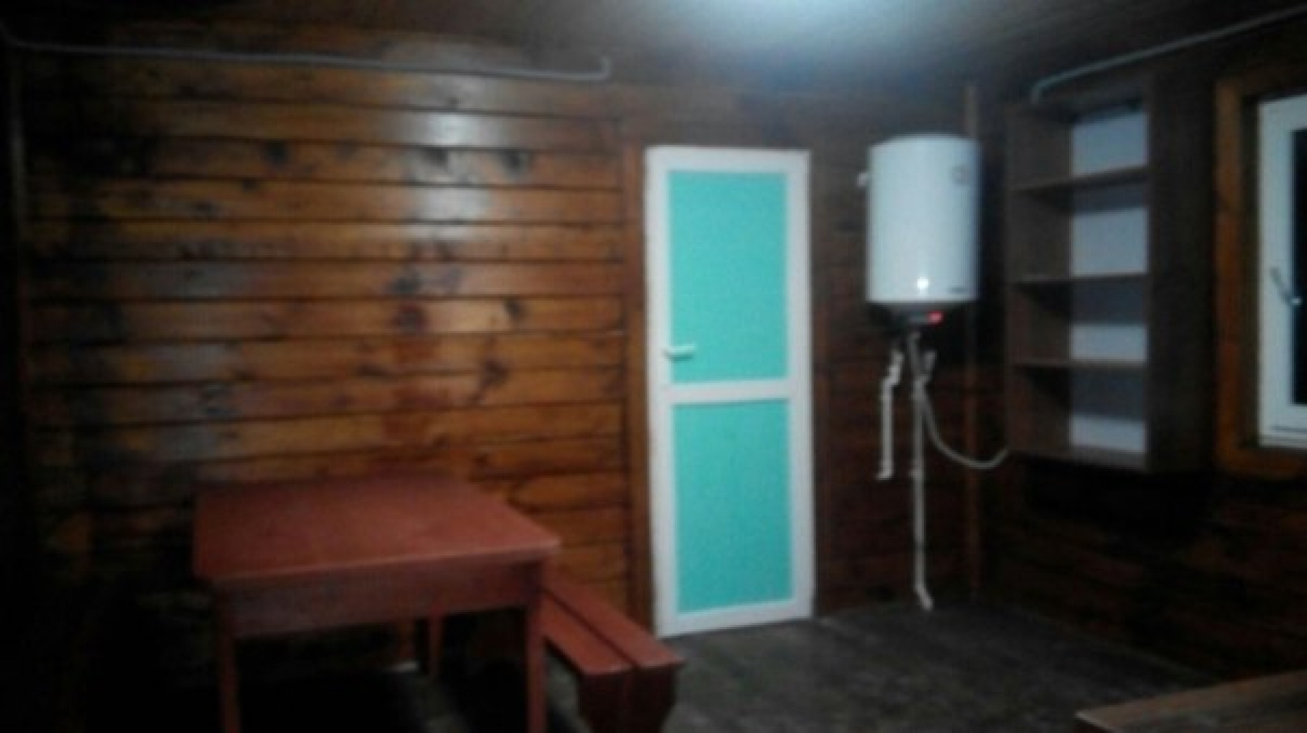 Фото Светлячок