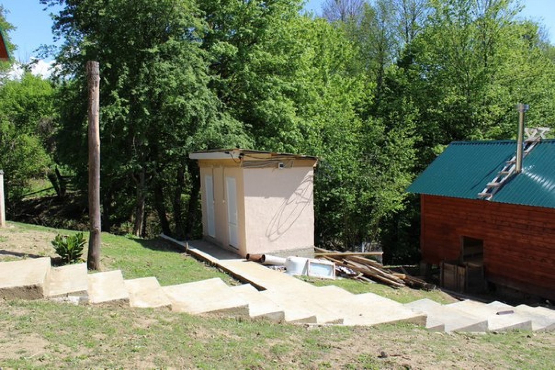 Фото Светлячок