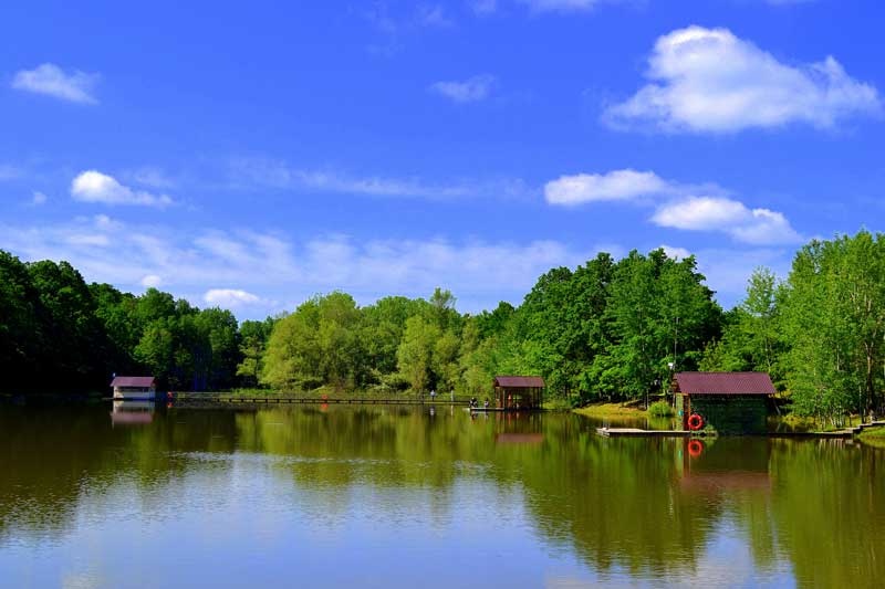 Фото Резиденция комфорта