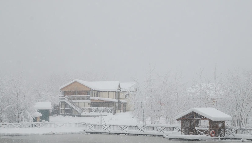 Фото Резиденция комфорта