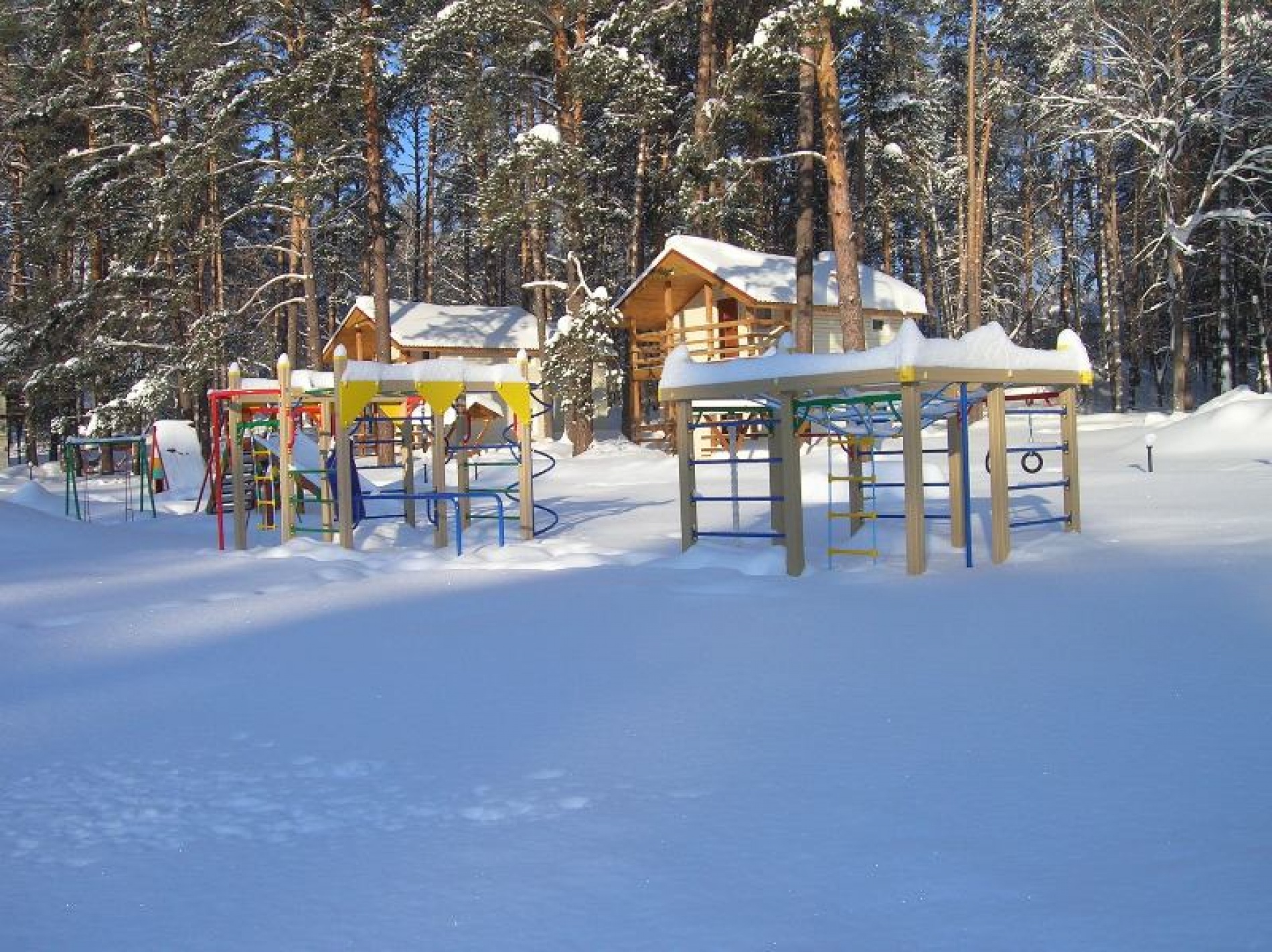 Фото Лебяжье