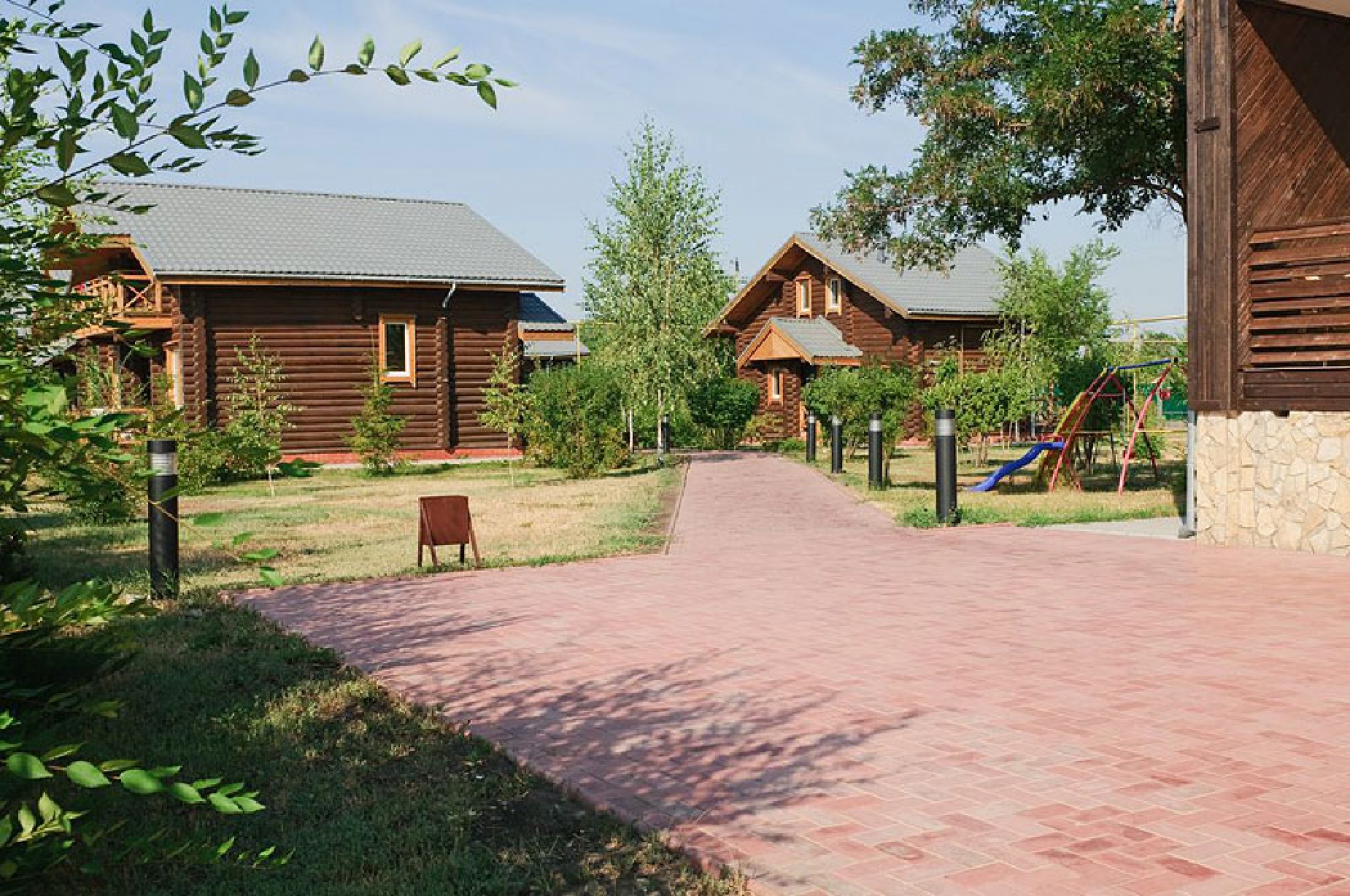 Фото Подсолнух